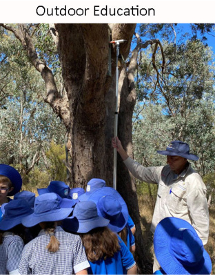 Education Nest Box Camera Kit 7B