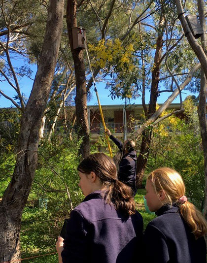 Education Nest Box Camera Kit 7B