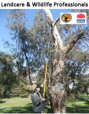 Nest Box Inspection Camera Kit 6B