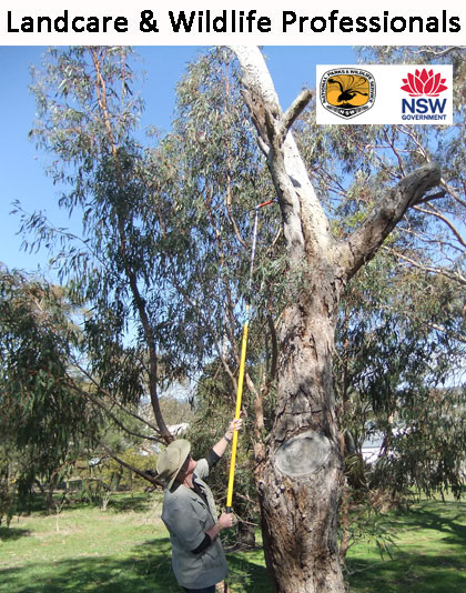 Nest Box Inspection Camera Kit 6B