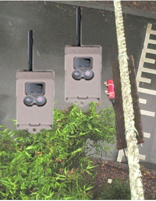 Rope Bridge Camera System