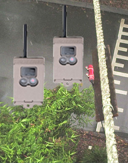 Rope Bridge Camera System