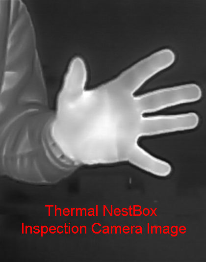 Thermal Nest Box Inspection Camera