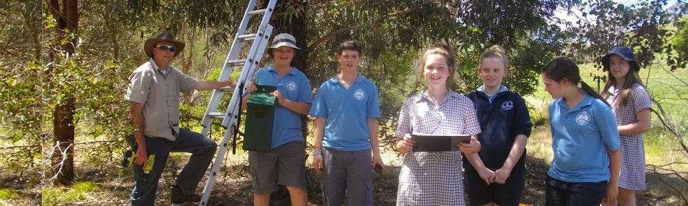 Wildlife Survey